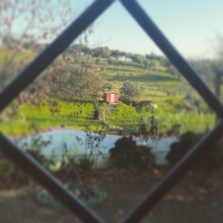 La Casa Barata, Casa Rural Cedillo Εξωτερικό φωτογραφία